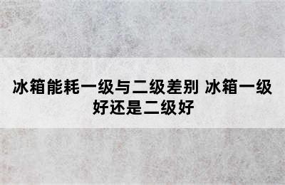 冰箱能耗一级与二级差别 冰箱一级好还是二级好